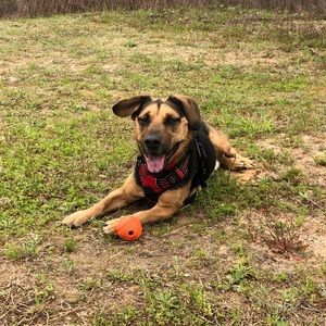 Meet your Posher, Timothy